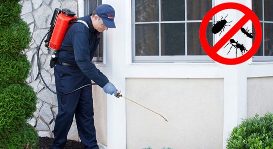 Gökçebey Hamam Böceği İlaçlama böcek ilaçlama ve haşere kontrolü — ilaclama-tr.com